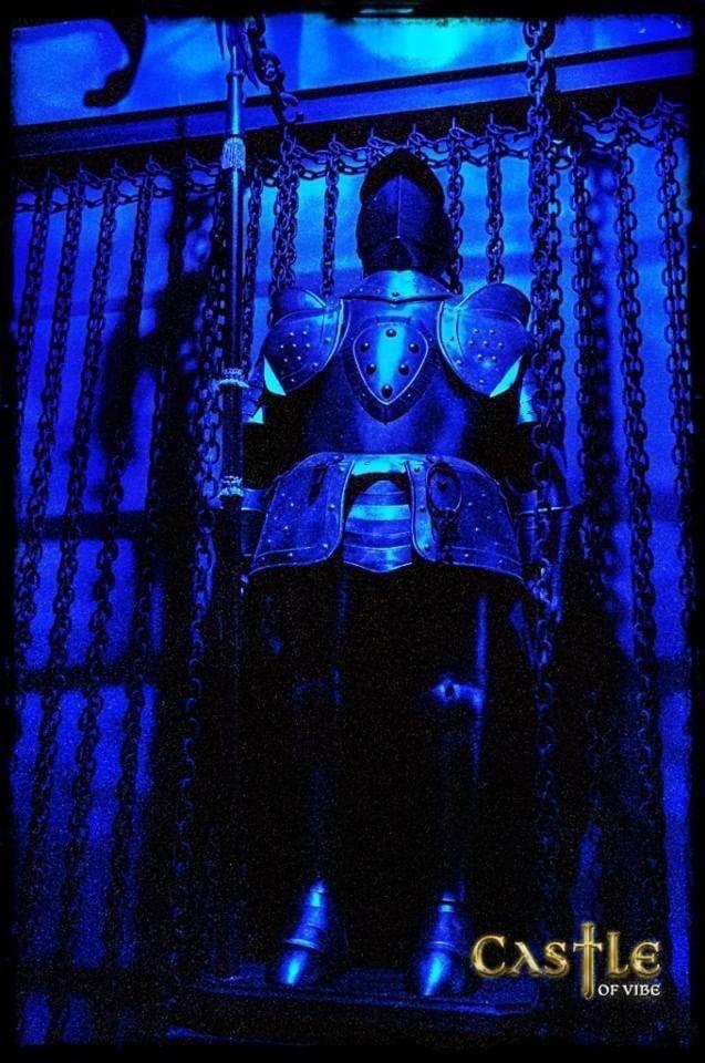 Castle Of Vibes -